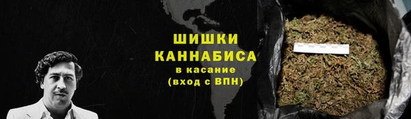 тгк Пестово