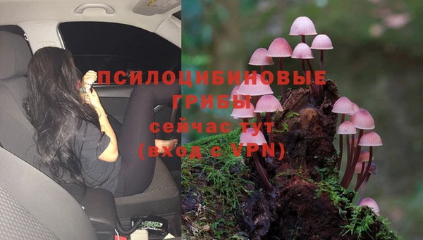 шишки Дрезна