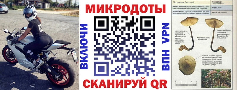 Псилоцибиновые грибы Magic Shrooms  Нахабино 